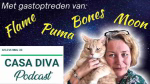 Casa Diva Podcast 36 - Shownotes