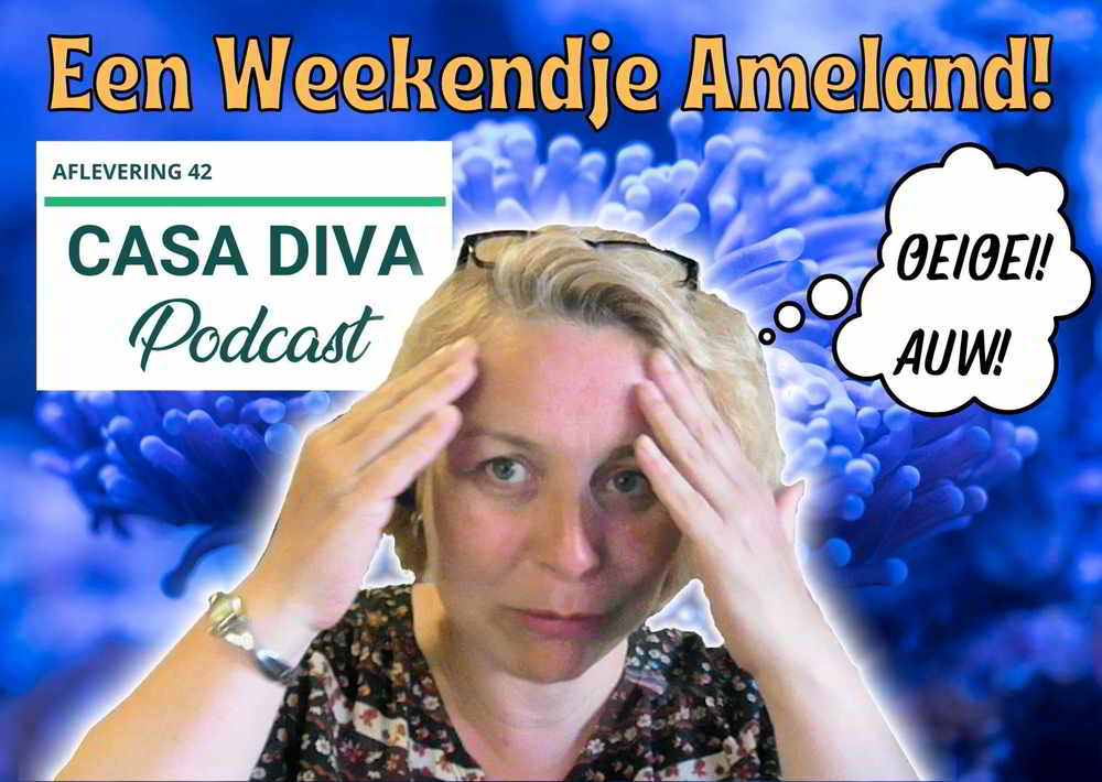 Casa Diva Podcast 42